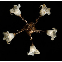 Люстра с плафонами Splendid-Ray 192427