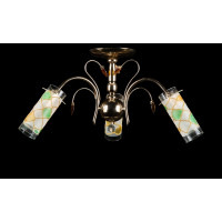 Люстра с плафонами Splendid-Ray 18814221 (FGD+BR)