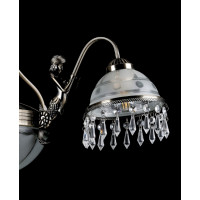 Люстры потолочные с пафоном Splendid-Ray 211750 (AB2)