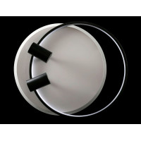 Светодиодная люстра L2451/480/2+2 LED (WHITE+BLACK) Splendid-Ray
2624