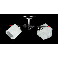 Люстра с плафонами Splendid-Ray 210761/2 (CR+BK)