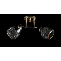 Люстра с плафонами L06392/2 (GOLD+BLACK) Splendid-Ray
2586 Люстра с плафонами L06392/2 (GOLD+BLACK) Splendid-Ray
2586