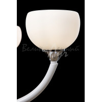 Люстра с плафонами  L25040/5 (CR) Splendid-Ray
232038