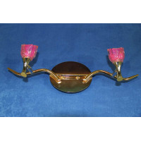 Галогеновое бра B503/2 (FGD) Splendid-Ray
143017