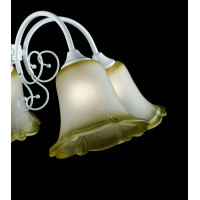 Люстра с плафонами Splendid-Ray 212048(MIX)