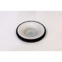 PR7-1 WT+BK PR7-1 WT+BK