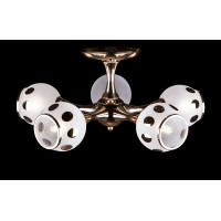 Люстра с плафонами Splendid-Ray 882332(FGD)