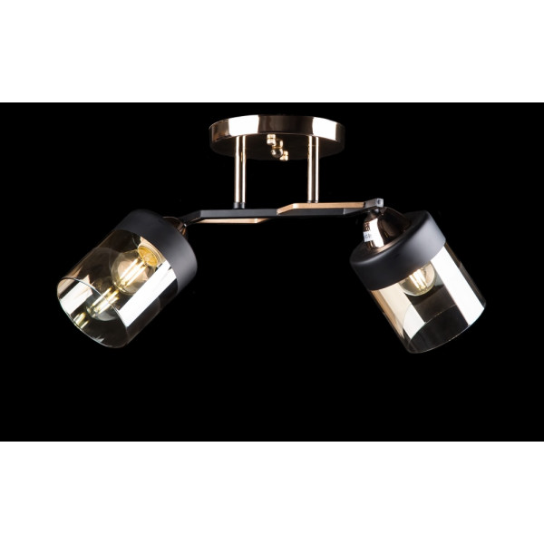 Люстра с плафонами  L7470/2 (FG+BK) Splendid-Ray
234322