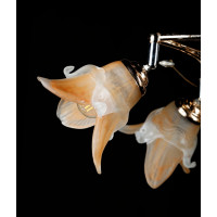 Люстра с плафонами Splendid-Ray L8910/6 MIX(BR,GR)