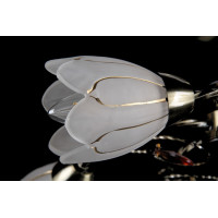 Люстры потолочные с пафоном Splendid-Ray 882322