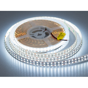 LED стрічка 12В, 240 діодів на метр, 15мм, теплий+холодний Diasha N12-2835-240-CW+WW-20-15