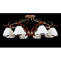 Люстра с плафонами Splendid-Ray 260012