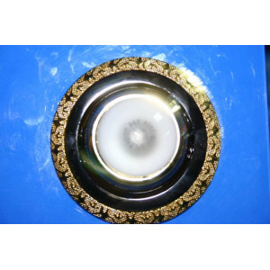 Точечный светильник ZJ1189B  R39( с лампочкой) (GMG) Splendid-Ray
145138