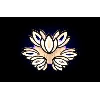 Светильники светодиодные Linisoln 1808/6+3 Led