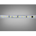 LED стрічка 220в, 120 шт/м, герметична, 8мм, холодний Diasha N220-2835-120-CW-65-8