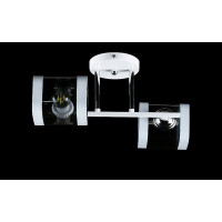 Люстра с плафонами  LGH60188/2 (WT+CR) Splendid-Ray
286369