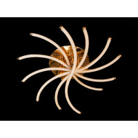 Люстра лед Diasha MX6244/6G 500