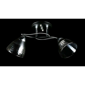 Люстра с плафонами  L8199/2 (BK+CR) Splendid-Ray
234520