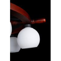 Люстра в детскую комнату Splendid-Ray 716766