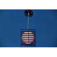 Подвесная люстра  L547 /1 (FL) Splendid-Ray
241009