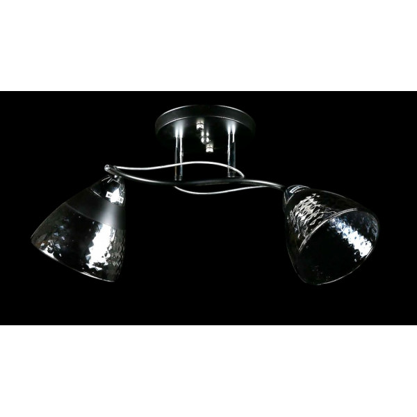 Люстра с плафонами L8199/2 (BK+CR) Splendid-Ray
234520 Люстра с плафонами L8199/2 (BK+CR) Splendid-Ray
234520