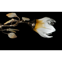 Люстра потолочная с плафонами Splendid-Ray 880081 (FGD+BRN)