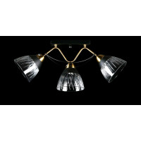 Люстра с плафонами  L8493/3 (BK+COPPER) Splendid-Ray
234511