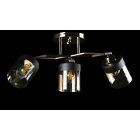 Люстра с плафонами  L7470/3 (FG+BK) Splendid-Ray
234894