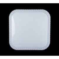 Светодиодная люстра Splendid-Ray 1999520/36W*2 LED (WT) 