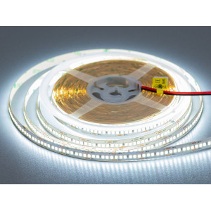 LED стрічка 24в, 240 діодів на метр, 10мм, холодний Diasha N24-2835-240-CW-20-10