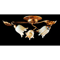 Люстра с плафонами  L90692/3 Splendid-Ray
192112