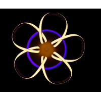 Люстры потолочные светодиодные с пультом Splendid-Ray C25/40/91