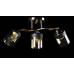Люстра с плафонами  L7470/3 (FG+BK) Splendid-Ray
234894