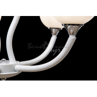 Люстра с плафонами  L25040/5 (CR) Splendid-Ray
232038