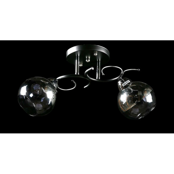 Люстра с плафонами L8408/2 (BK+CR) Splendid-Ray
234467 Люстра с плафонами L8408/2 (BK+CR) Splendid-Ray
234467