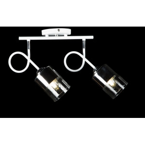 Люстра с плафонами  LGH60005/2 (WT+SR) Splendid-Ray
286143