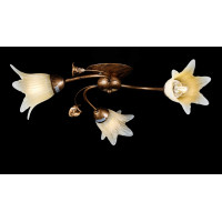 Люстра потолочная с плафонами Splendid-Ray 192411