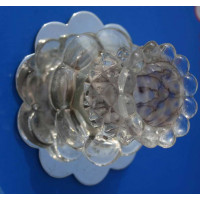 Точечный светильник OSD813 [FL] Splendid-Ray
999983