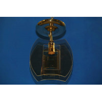 Люстра с плафонами Splendid-Ray 211696(FGD+CR)