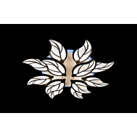 Светодиодная люстра Linisoln 8881/8+4 BK LED 3 color