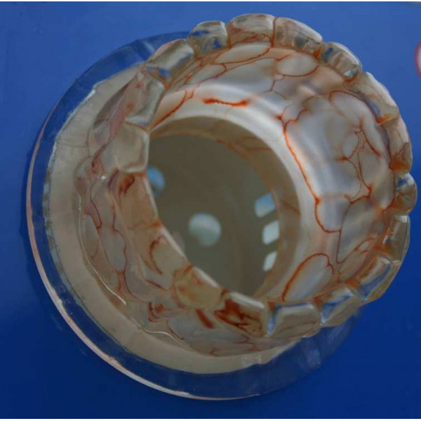 Точечный светильник OSD312 [RED] Splendid-Ray
999940