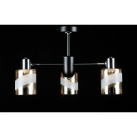 Люстра с плафонами Splendid-Ray 286174(BK+CR)