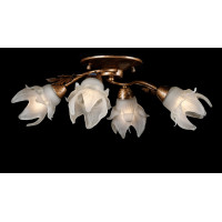 Люстра с плафонами Splendid-Ray L 192336