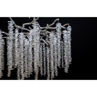 Люстра в спальню Linisoln 8038-800 C