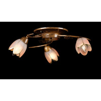 Люстра с плафонами Splendid-Ray 882195(GB+PK)