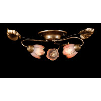 Люстра с плафонами Splendid-Ray 881679