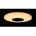 Светодиодная люстра LY8339/24W*2 LED+BLUETOOTH (WT) Splendid-Ray
1999538