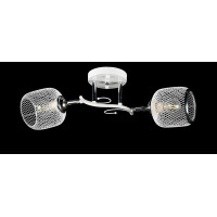 Люстра с плафонами  L06433/2 (WHITE+CHROME) Splendid-Ray
2592