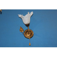 Бра с плафонами B10118/1 Splendid-Ray
192362