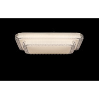 Светодиодная люстра Splendid-Ray1999521/36W*2 LED (WT)